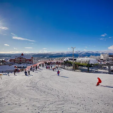 Charming Ski-in Access And Pet Friendly Beitostolen