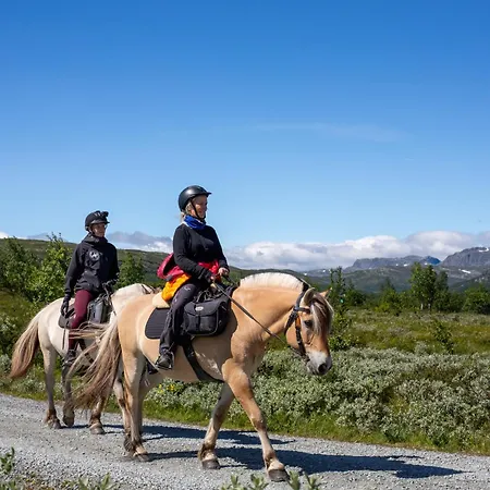 Charming Ski-in Access And Pet Friendly *