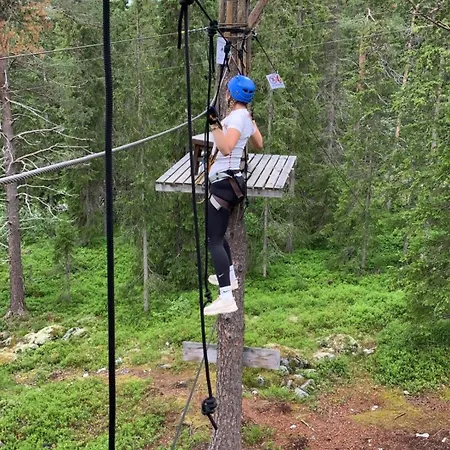 Charming Ski-in Access And Pet Friendly
