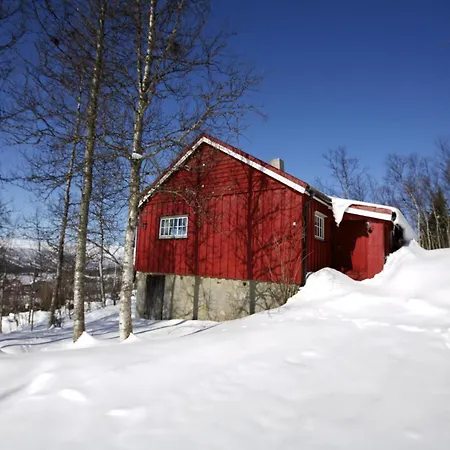 Charming Ski-in Access And Pet Friendly * Beitostolen