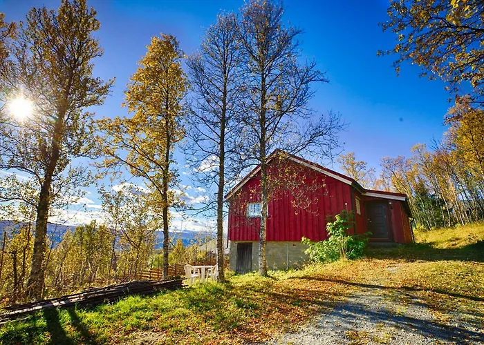 Charming Ski-in Access And Pet Friendly *