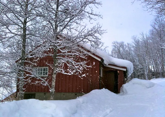 Charming Ski-in Access And Pet Friendly * Beitostolen