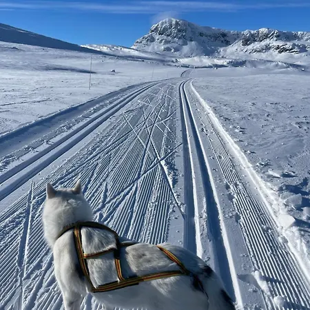Charming Ski-in Access And Pet Friendly Nyaraló *