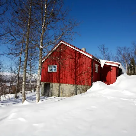 Charming Ski-in Access And Pet Friendly