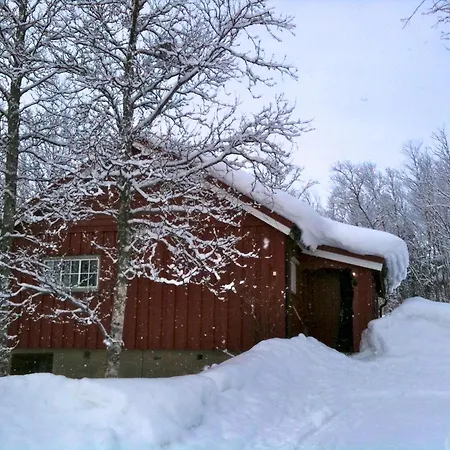 Nyaraló Charming Ski-in Access And Pet Friendly Beitostolen